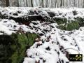 Steinbruch am Finkenberg bei Babben nahe Calau, Brandenburg, (D) (1) 24. Januar 2015 Aufschluß im anstehenden Raseneisenstein.JPG